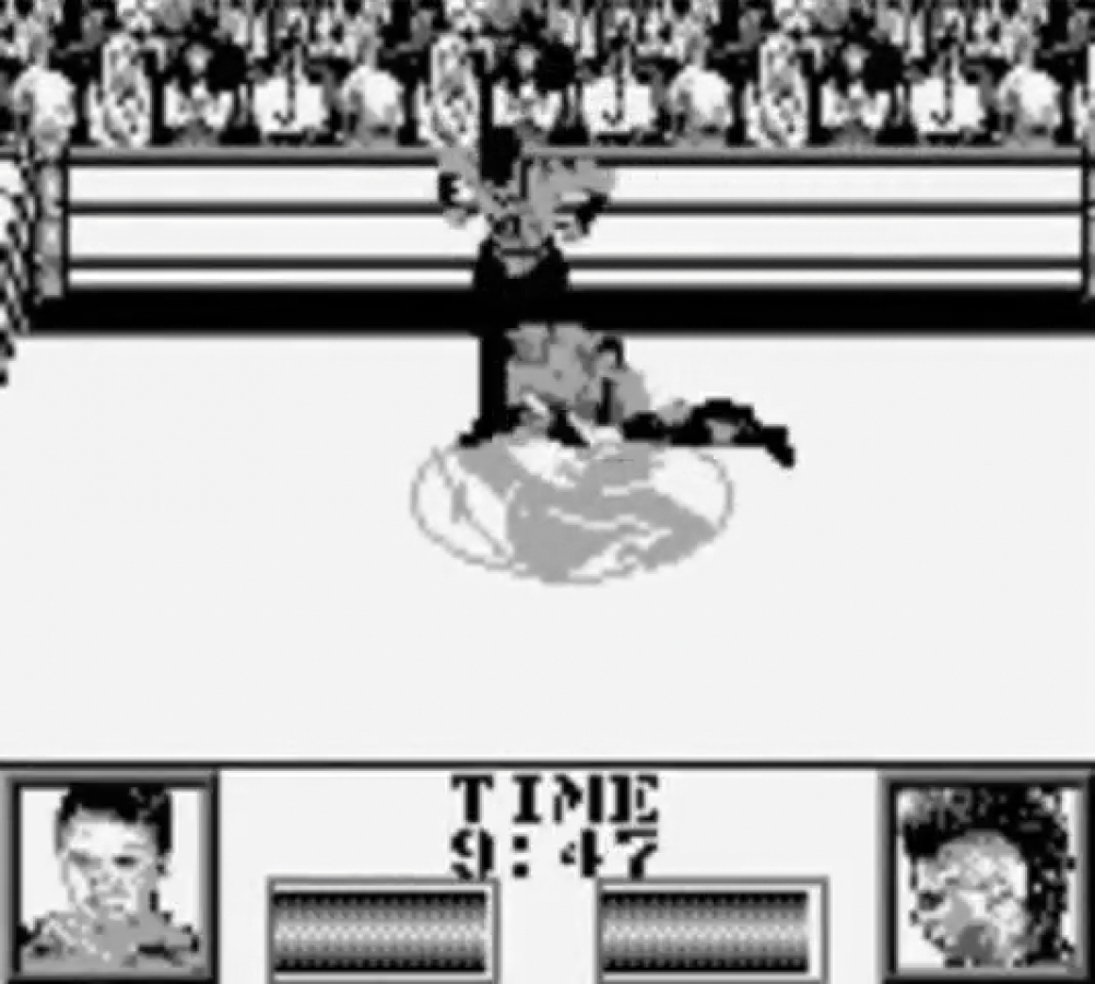 Ring Rage Game Boy wrestling sports video game gameplay