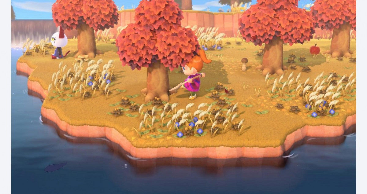 gameplay image for Nintendo Switch NS video game