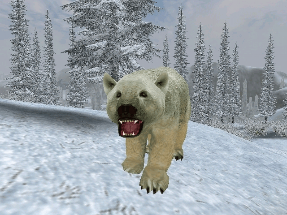 Cabela's Big Game Hunter: 2005 Adventures gameplay art for Xbox (XBOX) video game