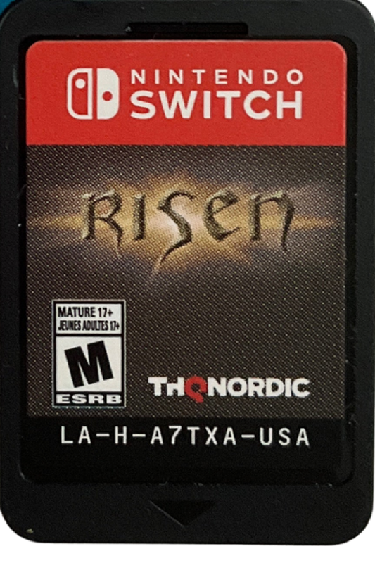 Risen Nintendo Switch inspired design featuring open world fantasy role playing adventure aesthetic mysterious island exploration immersive quests sword and magic combat deep character progression rich medieval environments and classic RPG gameplay presentation cartridge