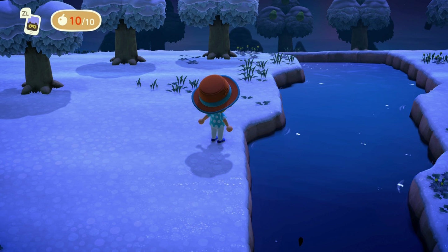 Animal Crossing New Horizons gameplay image for Nintendo Switch NS video game