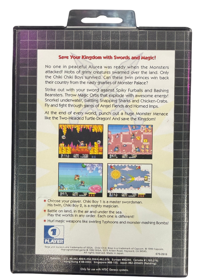 Chiki Chiki Boys Sega Genesis GEN for action platforming video game fans featuring colorful fantasy worlds side scrolling adventure sword combat magical abilities challenging enemies boss battles cooperative gameplay and classic arcade action collectible retro Genesis gaming appeal back cover art
