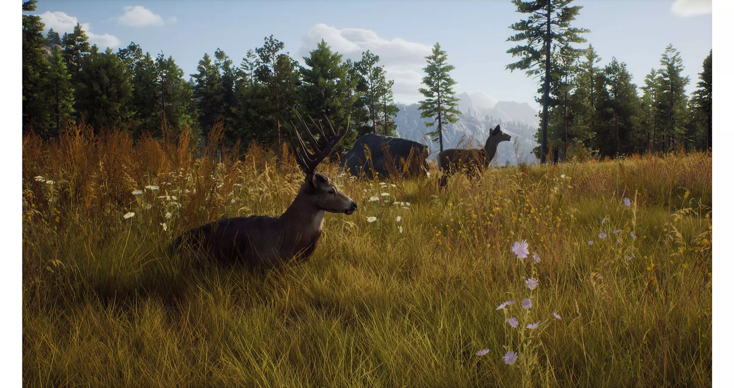 Way of the Hunter gameplay for PlayStation 5 (PS5) hunting simulation video game