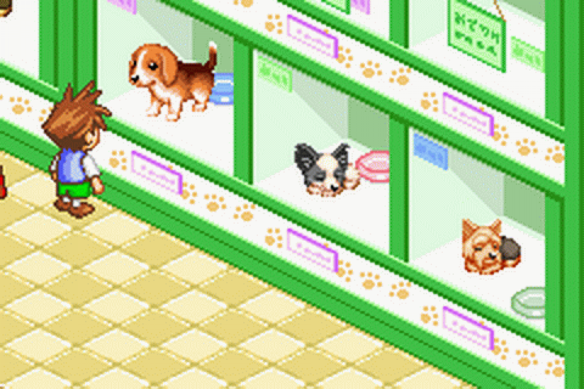 Dogz gameplay art for Game Boy Advance (GBA) video game
