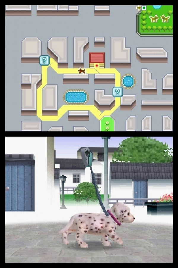 Nintendogs: Chihuahua and Friends gameplay for Nintendo DS (DS) video game