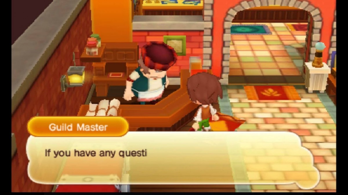 Fantasy Life Nintendo 3DS game featuring life simulation RPG gameplay with crafting professions open world exploration character customization and quest based adventure in a colorful fantasy setting gameplay