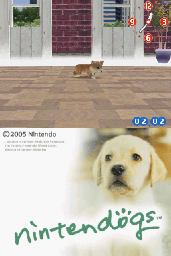 Nintendogs Lab and Friends Nintendo DS video game, pet simulation, virtual dog care and training, family-friendly handheld console title gameplay screenshot