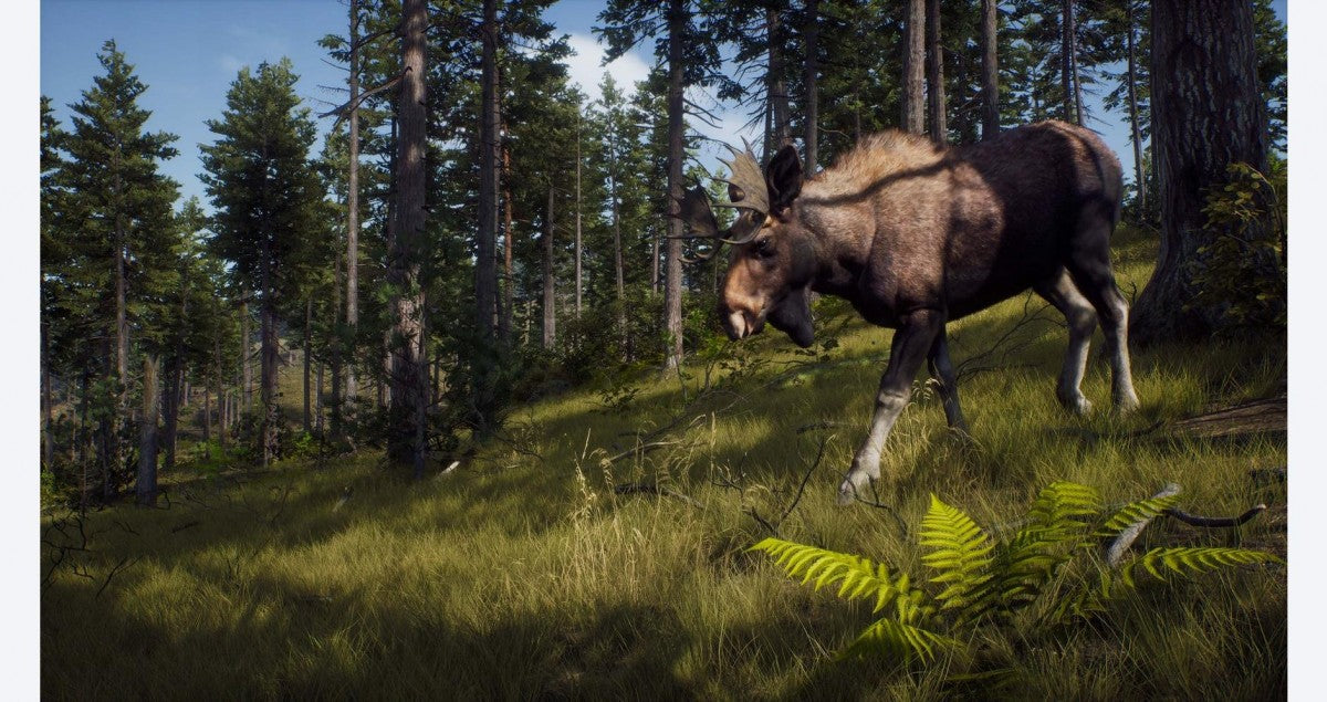 Way of the Hunter gameplay for PlayStation 5 (PS5) hunting simulation video game