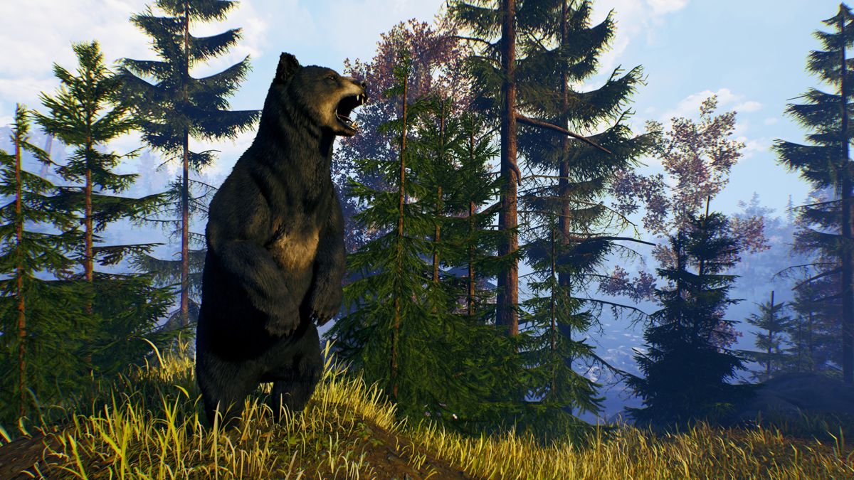 Open Country – PlayStation 4 (PS4) video game gameplay, outdoor survival and hunting adventure in wilderness backdrop