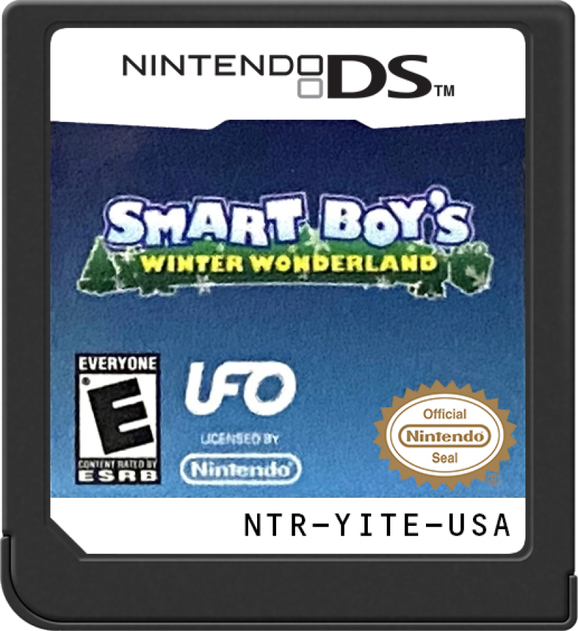 Smart Boy’s Winter Wonderland Nintendo DS video game, educational puzzle gameplay, winter-themed learning activities, handheld console title cartridge