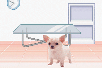 Game Boy Advance Pocket Dogs virtual pet game gameplay