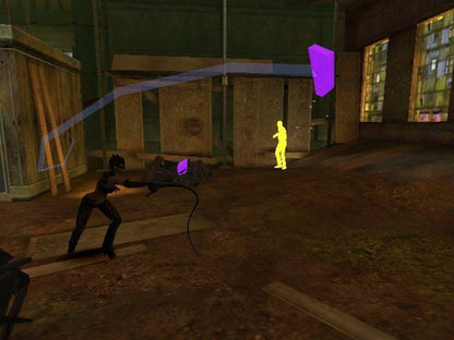 Catwoman for PlayStation 2 with superhero action-adventure and stealth gameplay theme gameplay