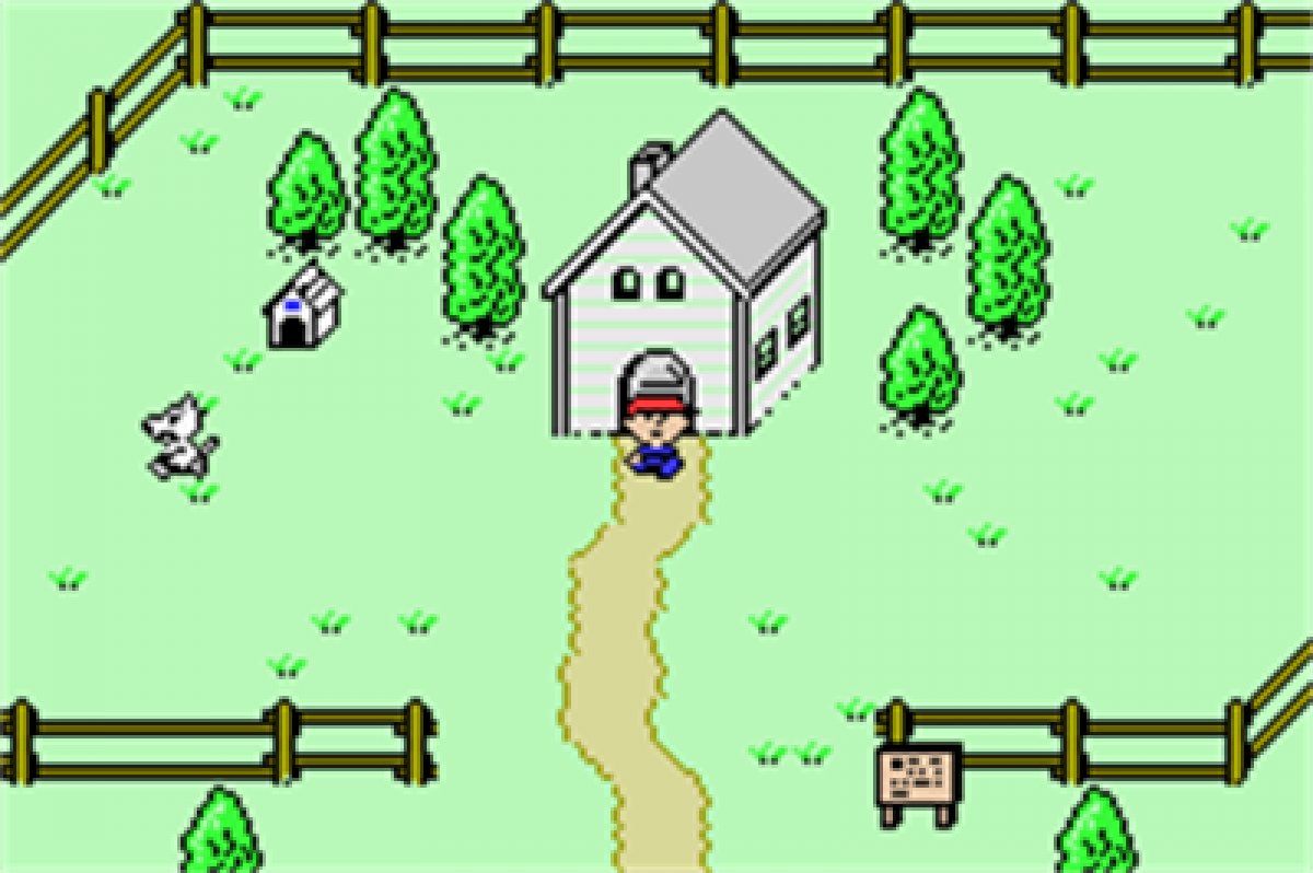 Mother 1+2 cartridge for the Game Boy Advance featuring classic turn based RPG gameplay combining EarthBound Beginnings and EarthBound with quirky humor modern setting and story driven adventure gameplay