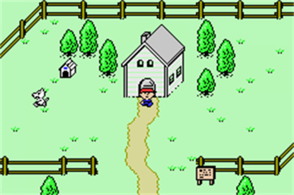 Mother 1+2 cartridge for the Game Boy Advance featuring classic turn based RPG gameplay combining EarthBound Beginnings and EarthBound with quirky humor modern setting and story driven adventure gameplay