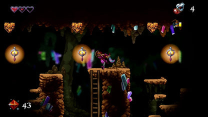 Arzette The Jewel of Faramore Nintendo Switch for action adventure video game fans featuring hand drawn animated visuals side scrolling platforming fantasy exploration puzzle solving memorable characters retro inspired gameplay magical kingdoms charming storytelling collectible gaming appeal gameplay