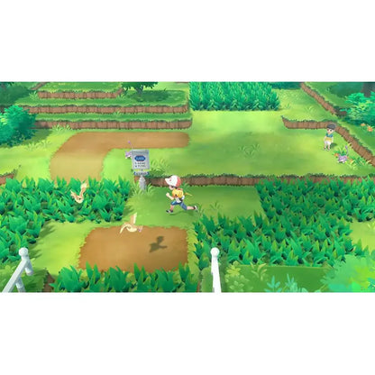 Pokemon Lets Go Pikachu gameplay image Nintendo Switch NS video game