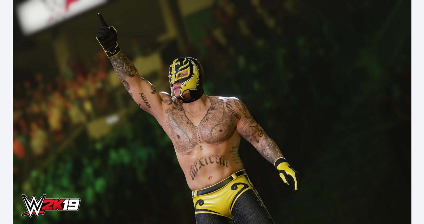 WWE 2K19 – PlayStation 4 (PS4) video game gameplay, professional wrestling sports game.