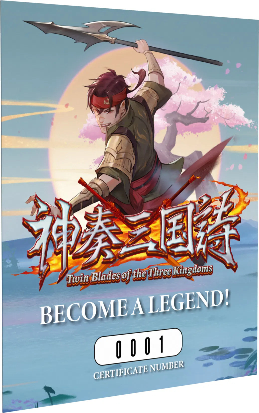 Twin Blades of the Three Kingdoms limited edition certificate for Nintendo Switch NS video game