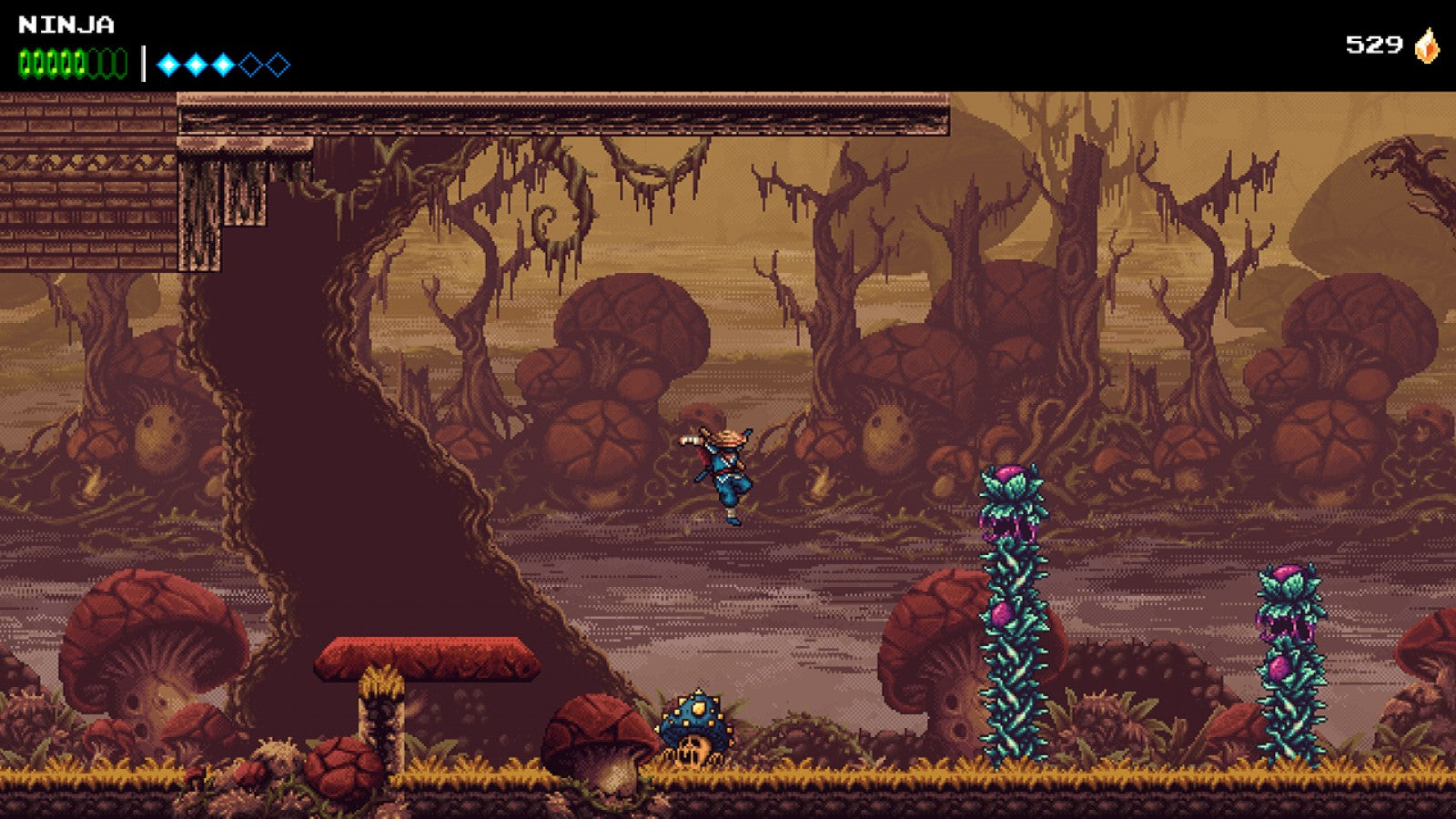 The Messenger Nintendo Switch inspired design featuring ninja action platform adventure aesthetic time traveling storyline pixel art visuals challenging combat acrobatic movement retro inspired gameplay interconnected world exploration presentation gameplay