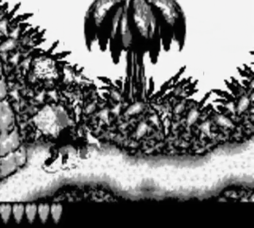Donkey Kong Land gameplay for Game Boy (GB) video game