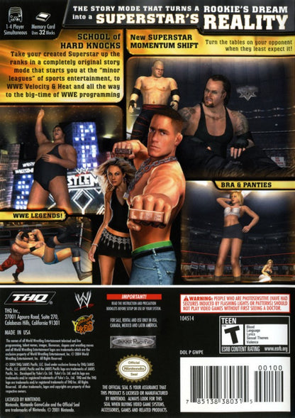 Back cover for WWE Day of Reckoning GameCube GC video game, professional wrestling, fighting simulation, multiplayer, sports entertainment, Nintendo GameCube title