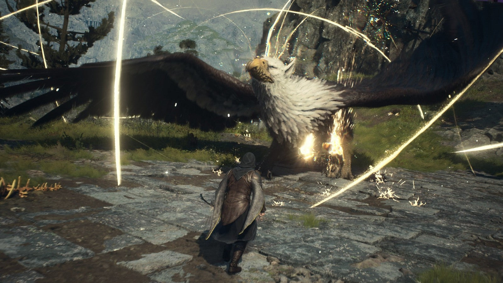 Dragon’s Dogma 2 PS5 game featuring open-world action RPG gameplay, dynamic combat, and an immersive fantasy world adventure on PlayStation 5 gameplay