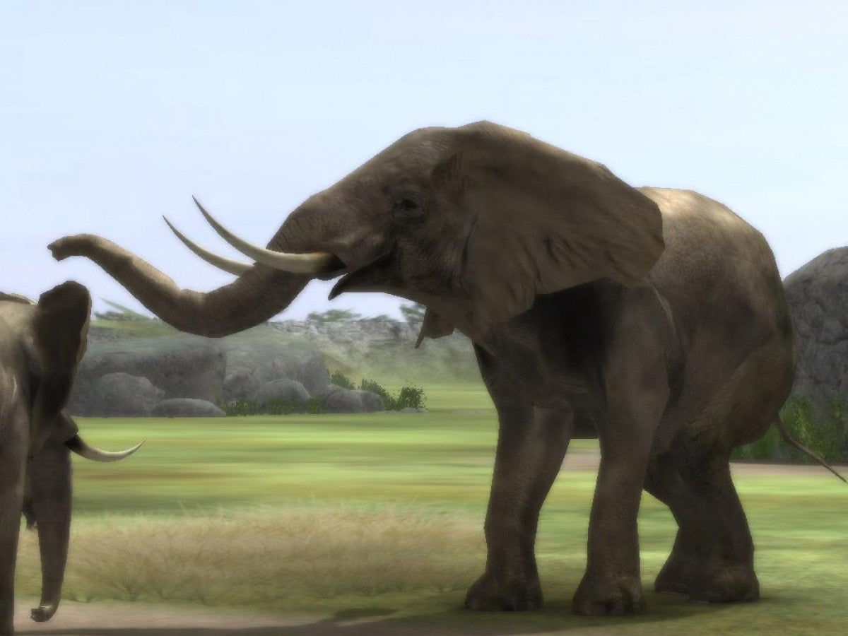 Wild Earth: African Safari gameplay for Nintendo Wii (Wii) featuring wildlife photography adventures across African landscapes, motion‑controlled exploration, and missions to capture animals in their natural habitats.