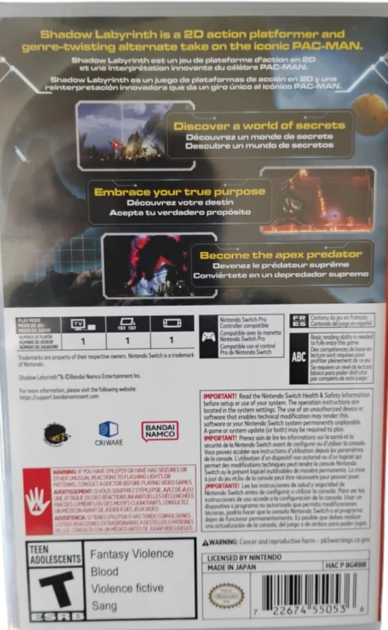 Shadow Labyrinth Nintendo Switch inspired design featuring dark sci fi action adventure aesthetic mysterious maze exploration atmospheric environments challenging combat futuristic secrets immersive platforming gameplay cinematic survival journey presentation back cover