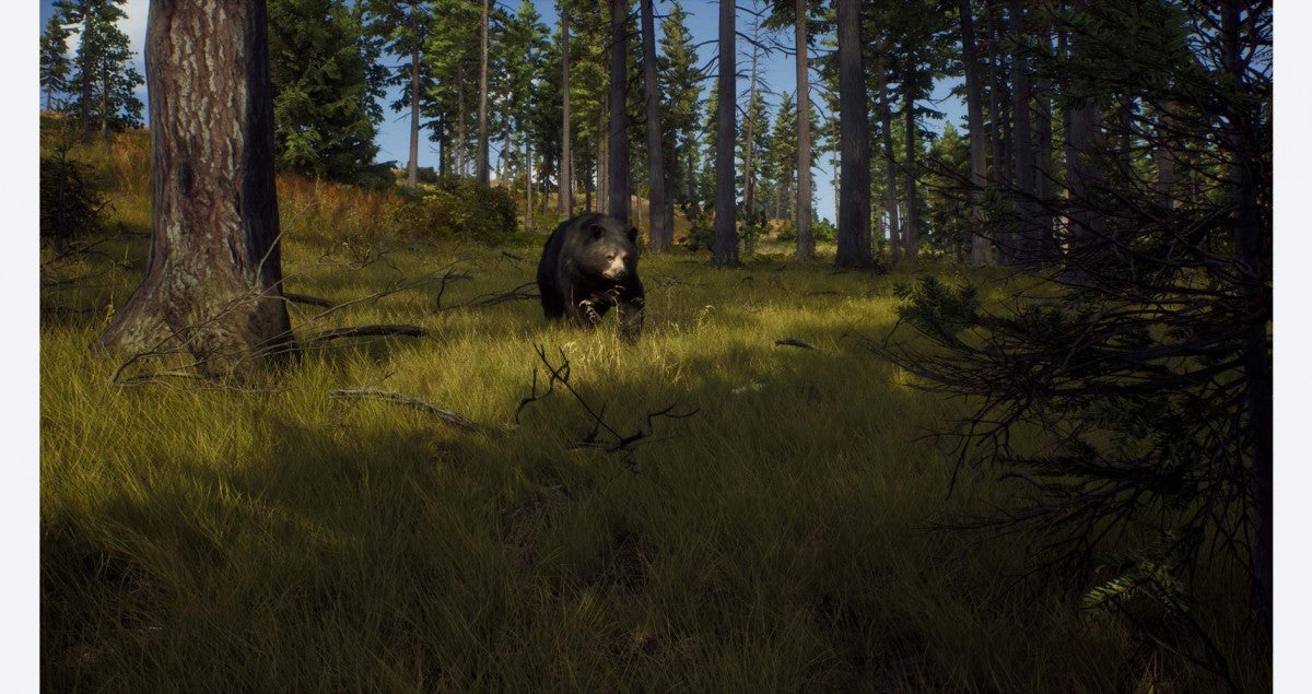 Way of the Hunter gameplay for PlayStation 5 (PS5) hunting simulation video game