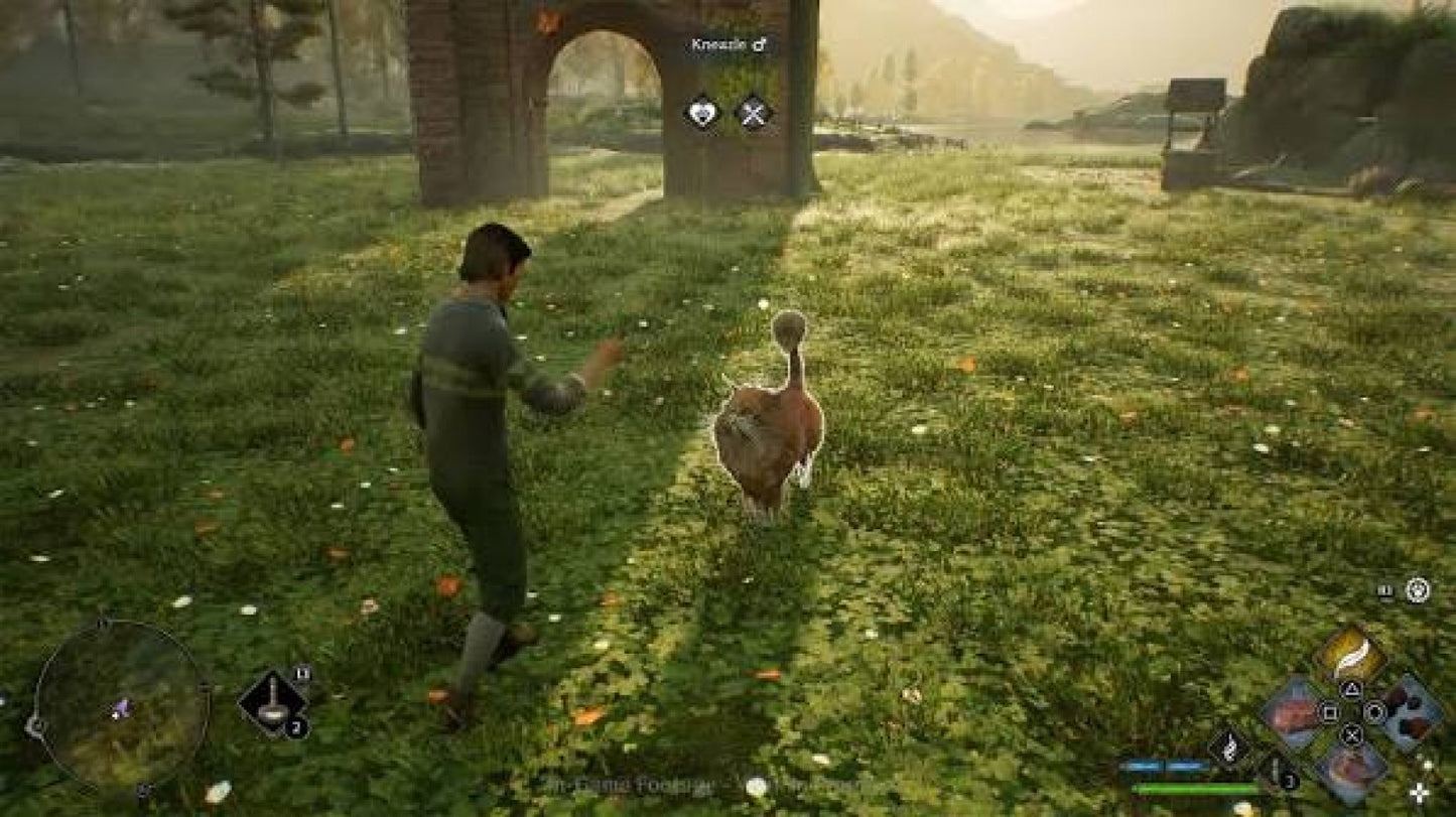 Hogwarts Legacy PAL Xbox One XONE for action role playing video game fans featuring Hogwarts School of Witchcraft and Wizardry open world exploration magic spells potion brewing magical creatures character customization wizarding world quests combat and immersive fantasy adventure gameplay collectible gaming appeal gameplay