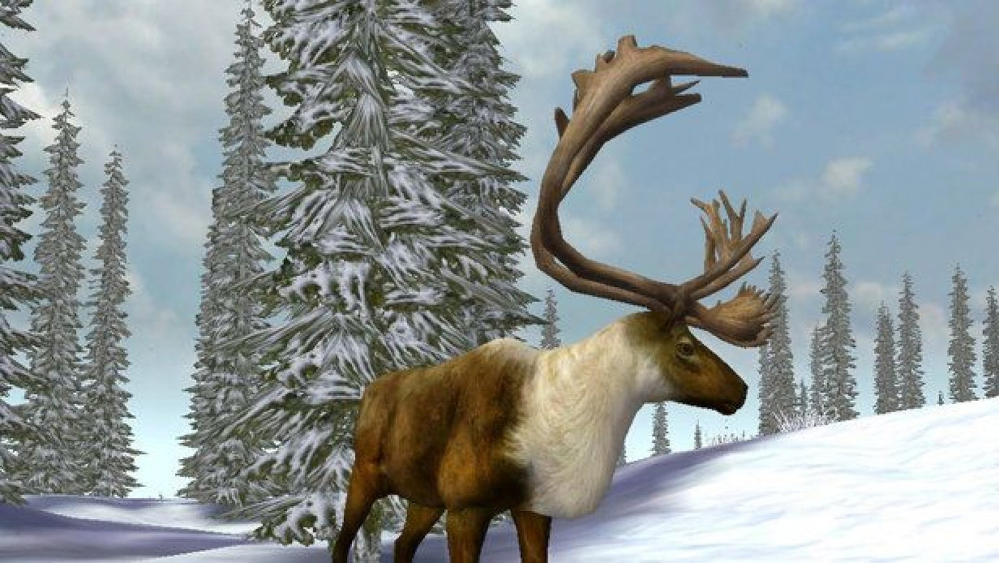 Cabela's Legendary Adventures gameplay art for Nintendo Wii (Wii) video game