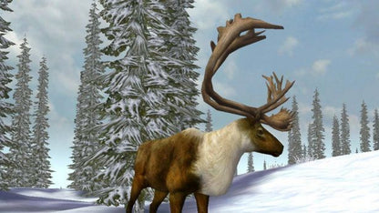 Cabela's Legendary Adventures gameplay art for Nintendo Wii (Wii) video game