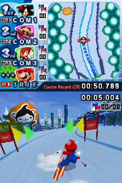 Mario & Sonic at the Olympic Winter Games for Nintendo DS, gameplay for a sports party video game with winter Olympic events, mini-games, multiplayer competition, and character-based gameplay