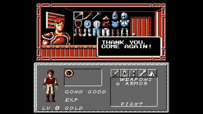 Dungeon Magic NES Nintendo Entertainment System fantasy action adventure RPG dungeon crawler spellcasting magic combat side scrolling gameplay Taito retro 8 bit gaming cartridge video game title gameplay