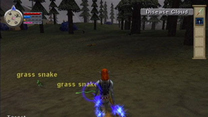 EverQuest Online Adventures gameplay for PlayStation 2 (PS2) video game