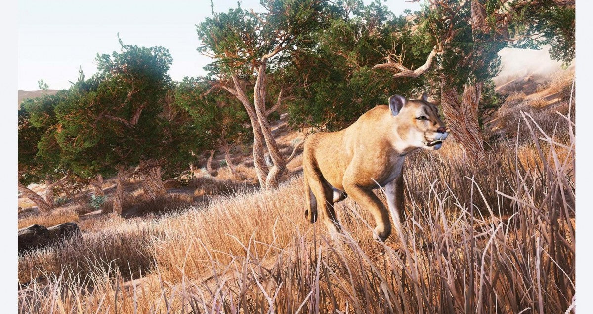 Hunting Simulator gameplay for Xbox One (XONE) realistic hunting simulation video game