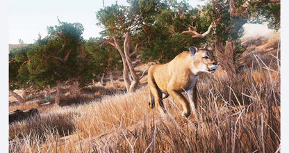 Hunting Simulator gameplay for Xbox One (XONE) realistic hunting simulation video game