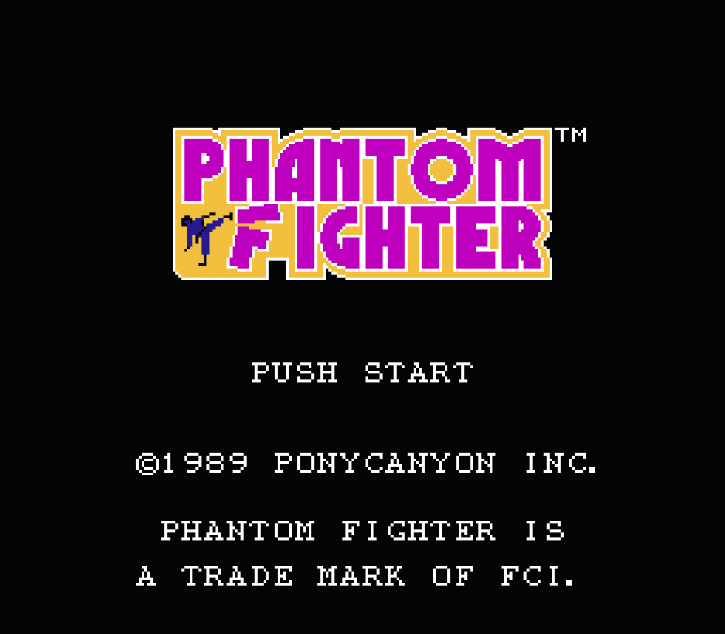 Phantom Fighter Nintendo Entertainment System NES video game featuring martial arts action gameplay ghost hunting combat supernatural enemies challenging levels side scrolling fighting action and classic 8 bit gameplay retro video game collection collectible gaming appeal gameplay