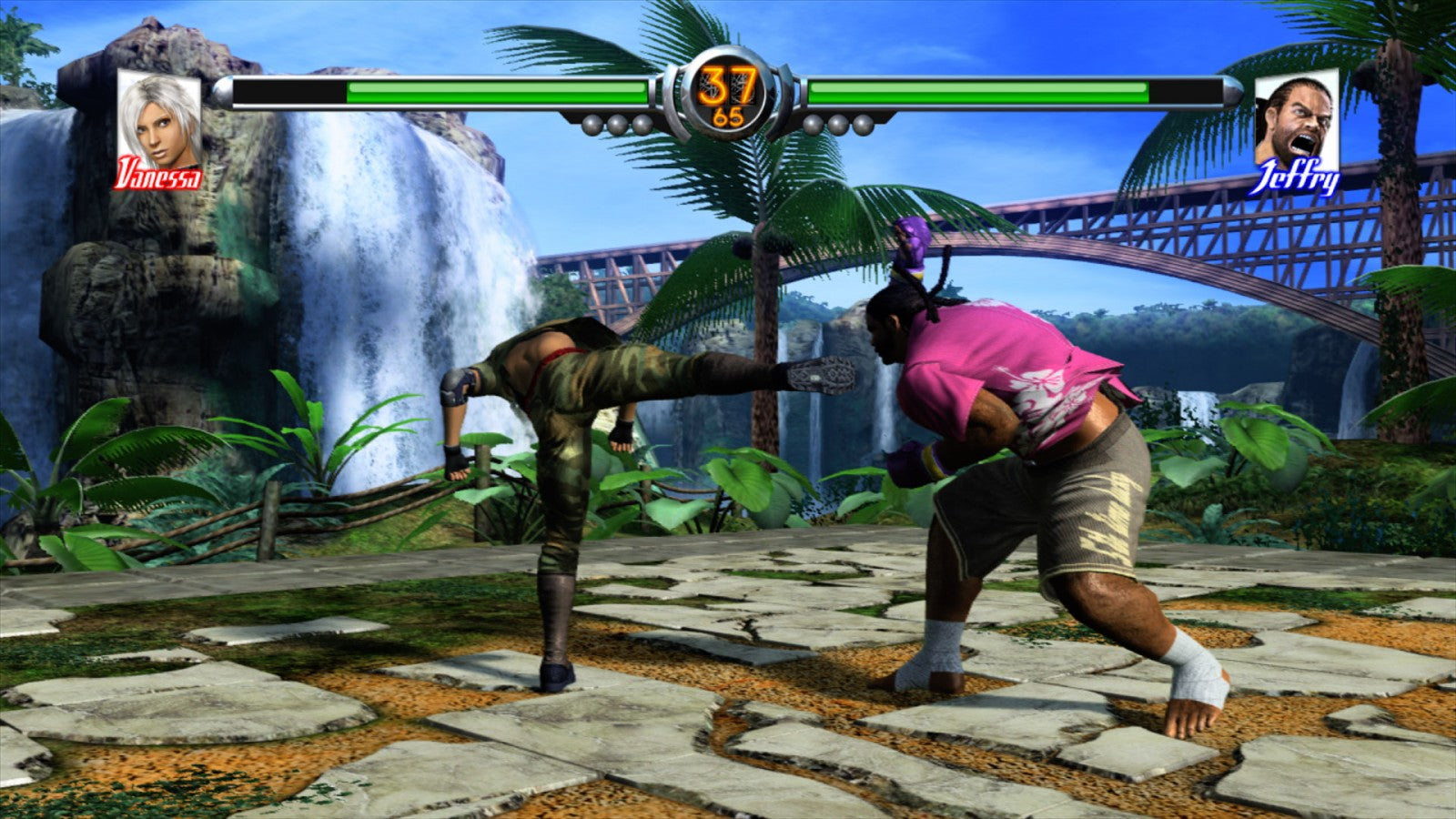 Virtua Fighter 4 for PlayStation 2 3D fighting game featuring martial arts combat diverse fighters arcade mode and competitive versus gameplay
