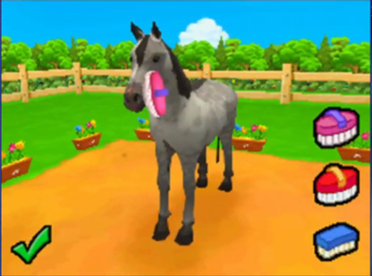 Petz Horsez 2 Nintendo DS video game, horse care and riding simulation, family-friendly gameplay, handheld console title gameplay