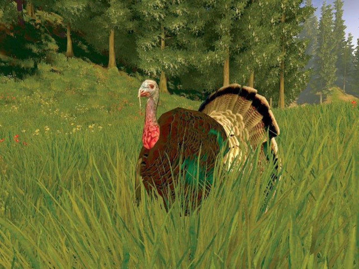 Cabela's Trophy Bucks gameplay cover art for Nintendo Wii (Wii) video game