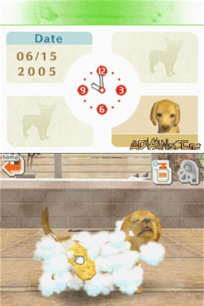 Nintendogs: Dachshund and Friends gameplay for Nintendo DS (DS) virtual pet simulation video game
