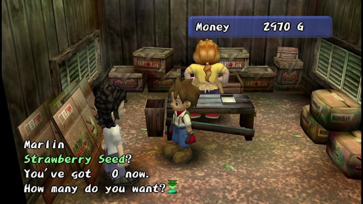 Harvest Moon Another Wonderful Life for Nintendo GameCube farming simulation RPG featuring crop growing livestock raising marriage system village life and seasonal events gameplay