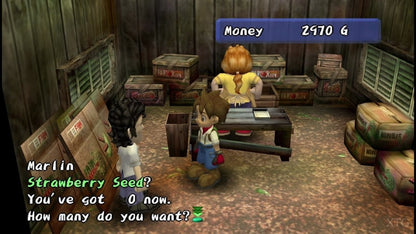 Harvest Moon Another Wonderful Life for Nintendo GameCube farming simulation RPG featuring crop growing livestock raising marriage system village life and seasonal events gameplay
