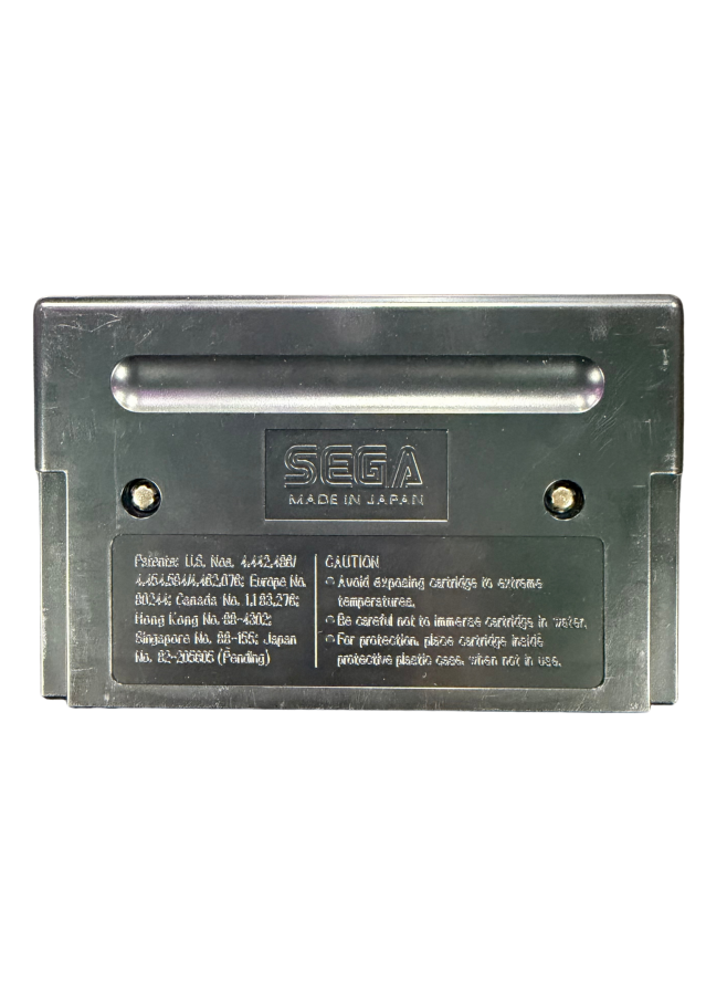 Chiki Chiki Boys Sega Genesis GEN for action platforming video game fans featuring colorful fantasy worlds side scrolling adventure sword combat magical abilities challenging enemies boss battles cooperative gameplay and classic arcade action collectible retro Genesis gaming appeal back of cartridge