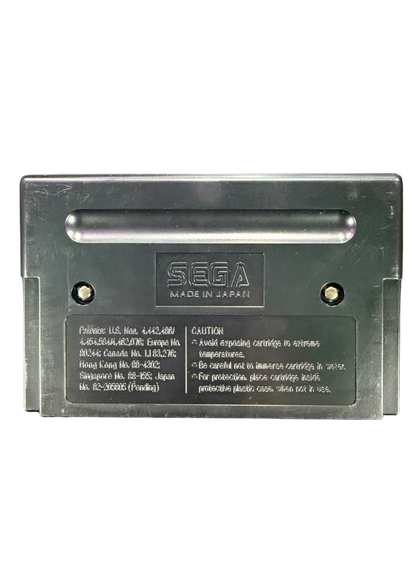 Chiki Chiki Boys Sega Genesis GEN for action platforming video game fans featuring colorful fantasy worlds side scrolling adventure sword combat magical abilities challenging enemies boss battles cooperative gameplay and classic arcade action collectible retro Genesis gaming appeal back of cartridge