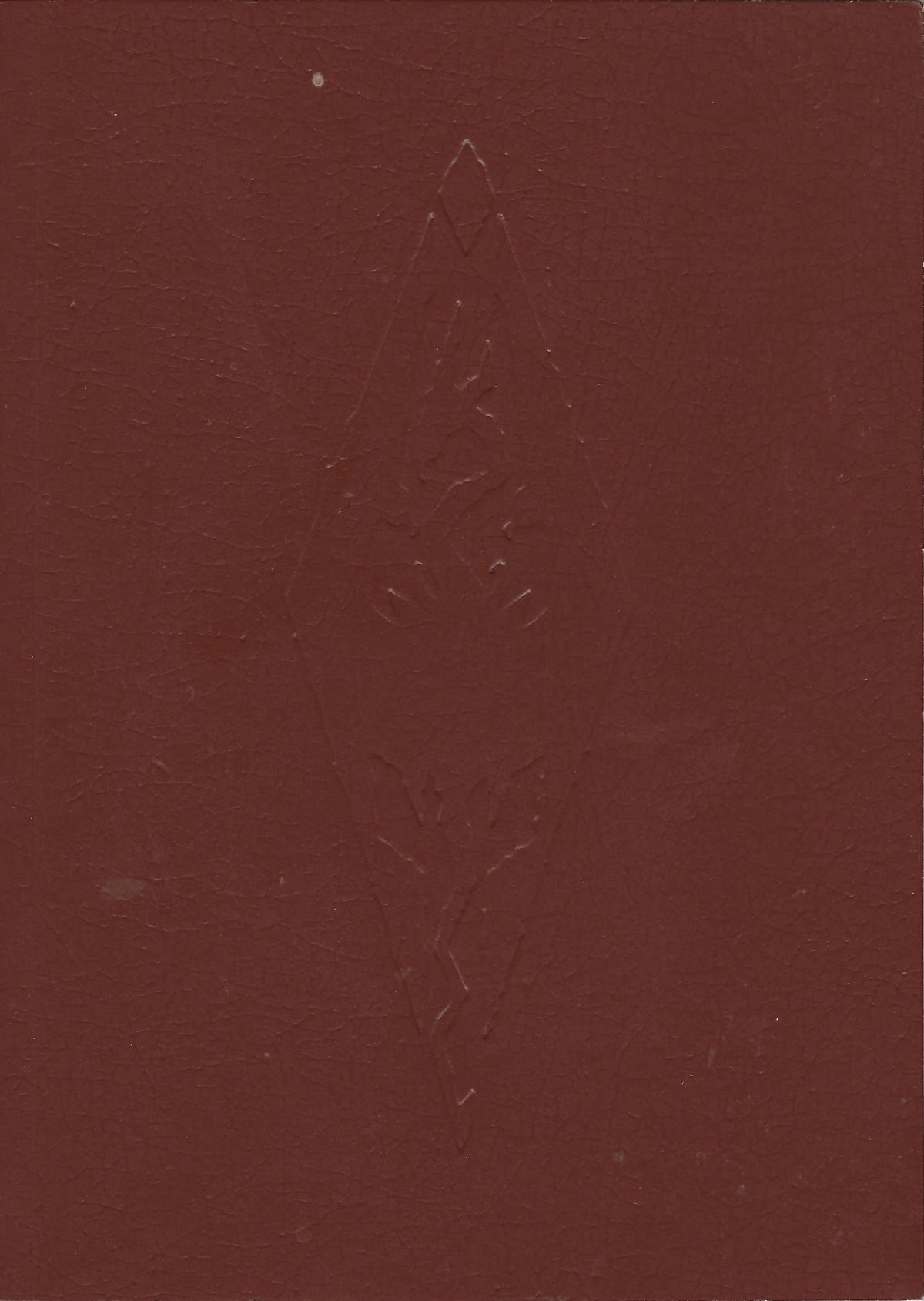 The Elder Scrolls IV Oblivion Collector's Edition Xbox 360 inspired design featuring epic open world fantasy role playing adventure aesthetic vast kingdom exploration magic and sword combat immersive quests rich lore medieval landscapes collector edition presentation book