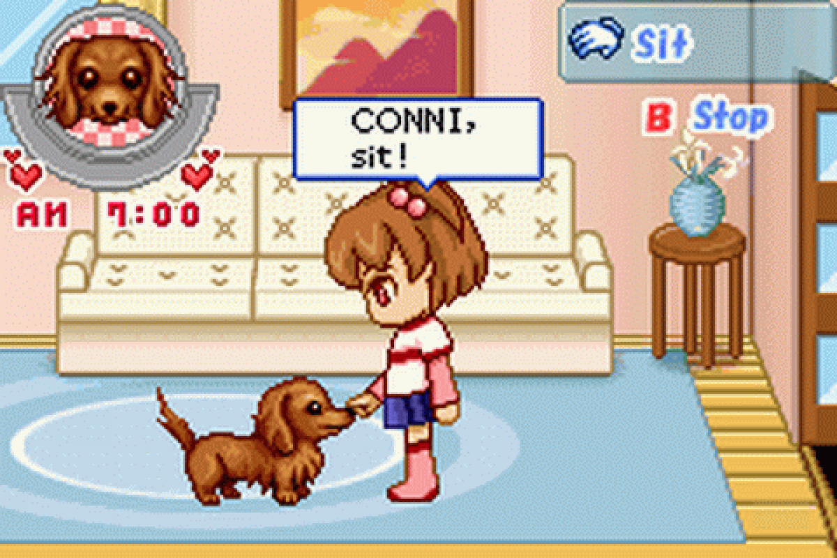 Dogz: Fashion gameplay for Game Boy Advance (GBA) video game