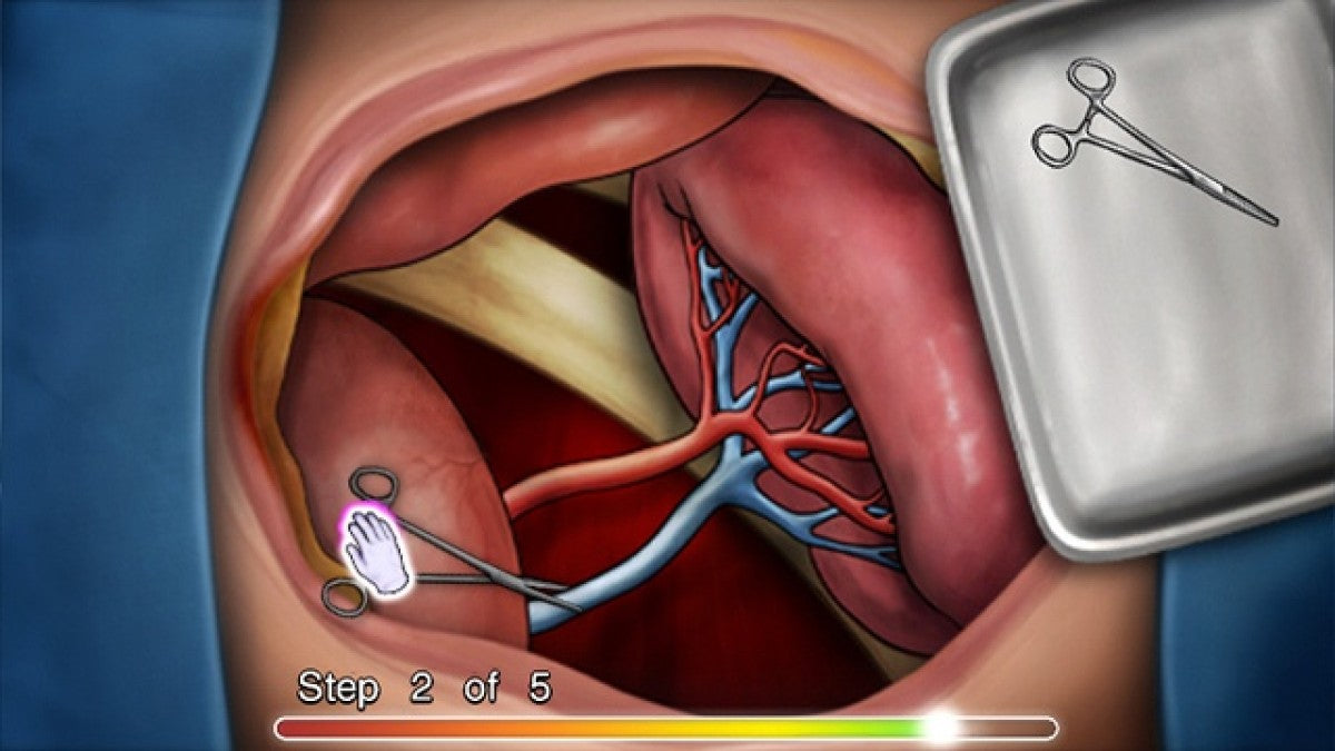 Grey’s Anatomy: The Video Game – Nintendo Wii (Wii) interactive drama adventure gameplay for video game