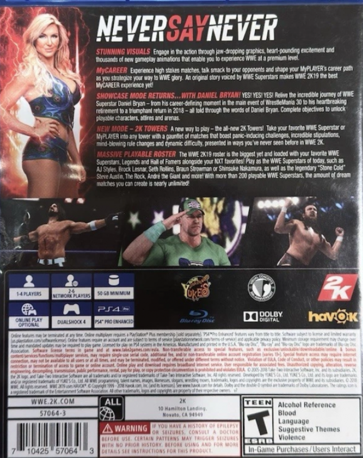 WWE 2K19 – PlayStation 4 (PS4) video game back of case, professional wrestling sports game.